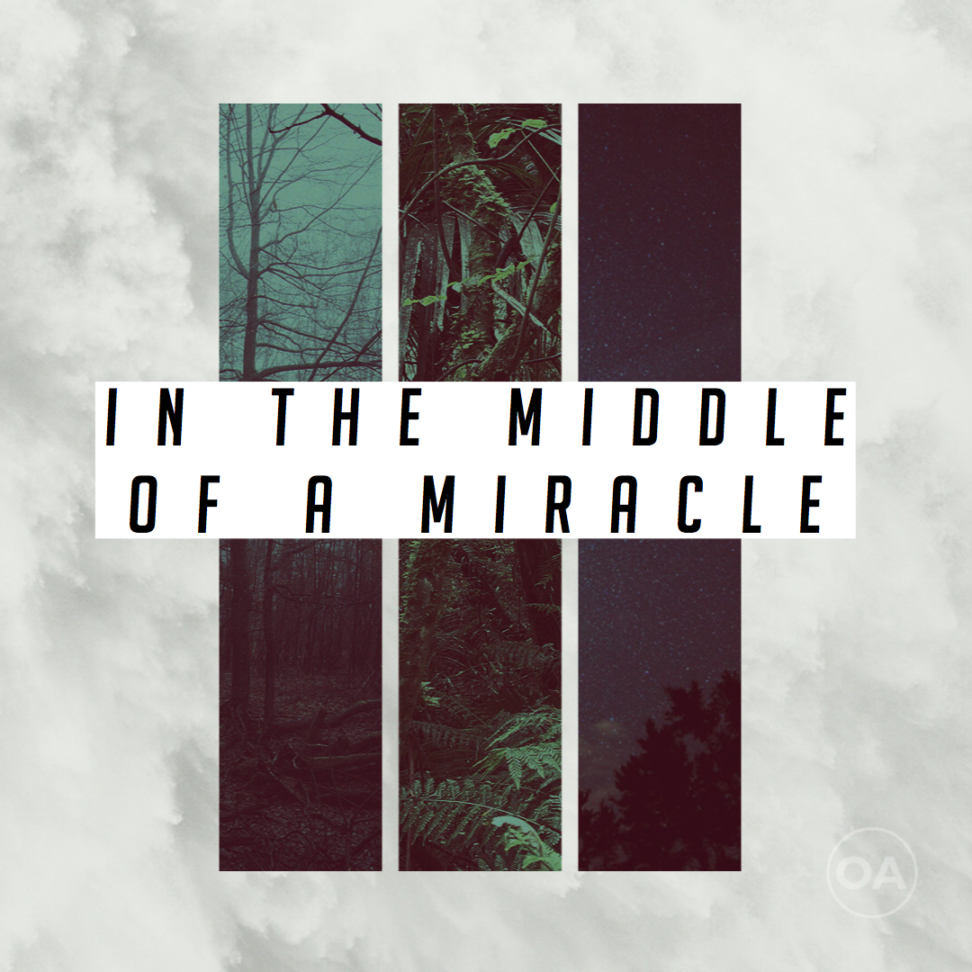 In The Middle Of A Miracle | Sean Booth