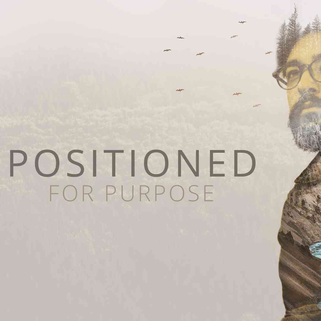 Positioned For Purpose | Sean Booth