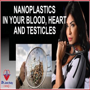 NANOPLASTICS IN OUR BLOOD, HEARTS, TESTICLES: What Have We Done?