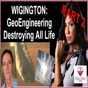 U.S. MILITARY AERIAL SPRAYING IS DESTROYING ALL LIFE - PT 2