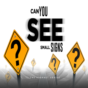 Can You See Small Signs