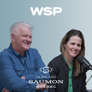 Présentation WSP