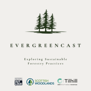 Evergreencast Ep2: Sustainable Forestry - Bringing the roots together