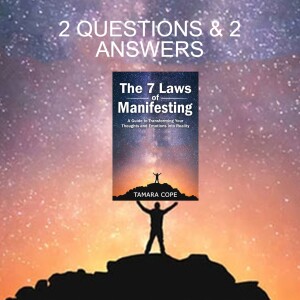 2 x Questions and Answers For the Book ”The 7 Laws of Manifesting”