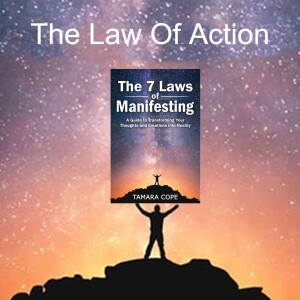 Law of Action