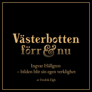 5. Ingvar Hällgren – bilden blir sin egen verklighet
