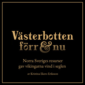 10. Norra Sveriges resurser gav vikingarna vind i seglen