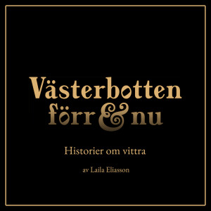 11. Historier om vittra