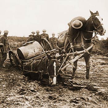 Episode #31,Civil Rights, “The Song of Mud”, Mobile AL Memorial Park, Motorcycles and Memorials, On Being an Intern, Dazzle Camouflage, Peach Pits and more...