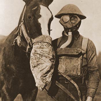 WWI Horse Heroes | Coal in WW1 | Halifax Explosion | Gold Star Mothers | Speaking 