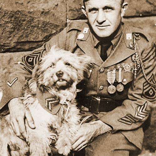 Spring Offensive - Episode #64