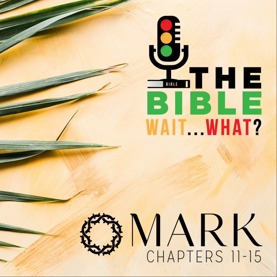 The Bible. Wait… What?!