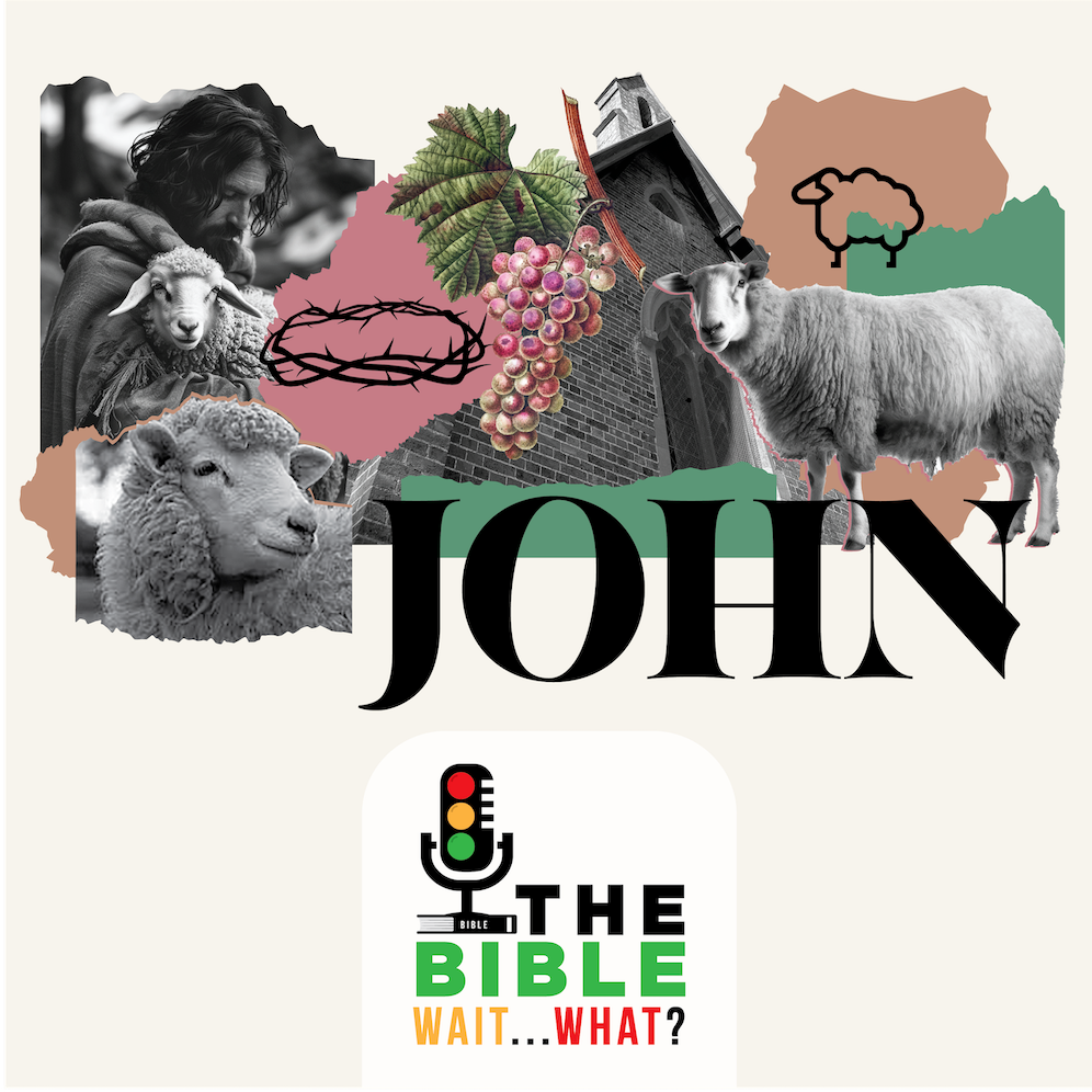 The Bible. Wait… What?!
