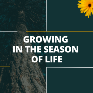 Growing In The Season Of Life (Part 5) - The Season Of Abundance
