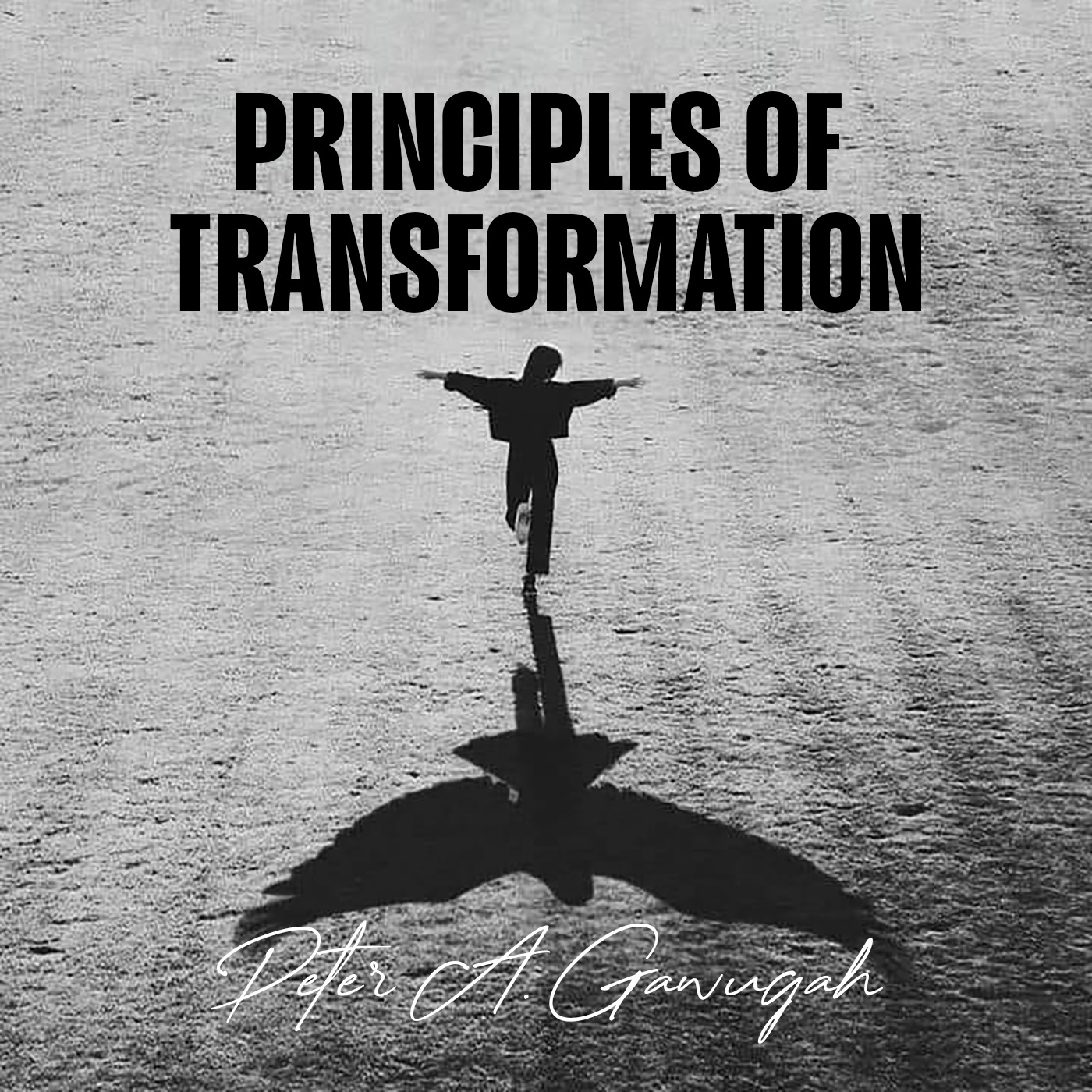 Principles Of Transformation (Part 4.2) - The Mind To Work