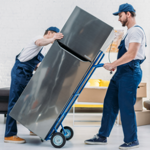 How Can Professionals Movers Help You To Move a Fridge?