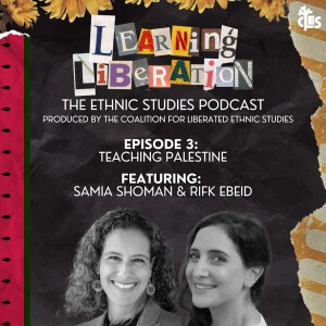 Season 1 Episode 3: Teaching Palestine