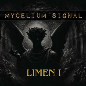 The Mycelium Signal #8: "LIMEN" - 1st Season Recap and 2nd Season Introduction