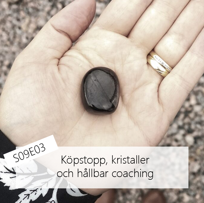S09E03 - Köpstopp, kristaller och hållbar coaching