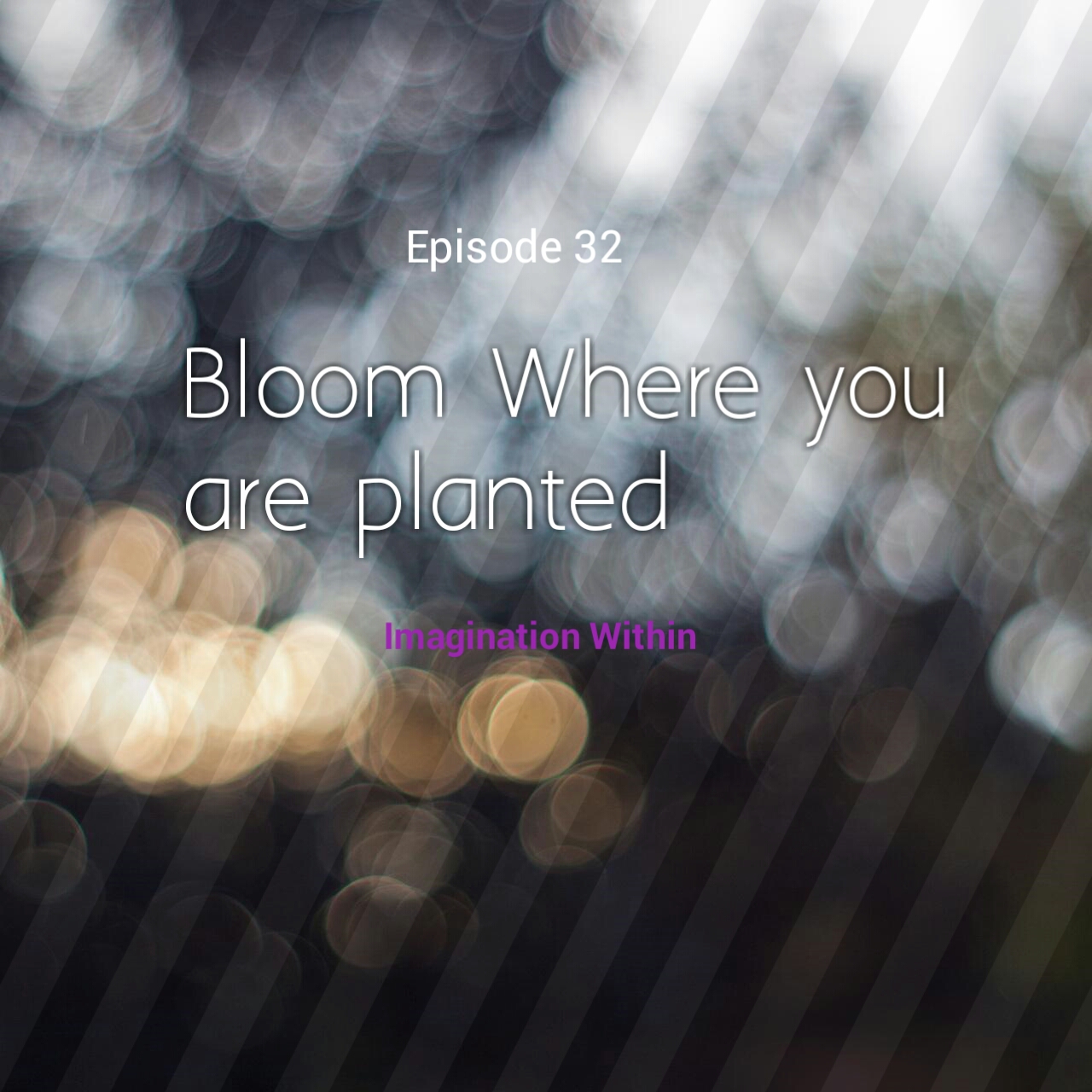 Episode 32 Bloom where you are planted