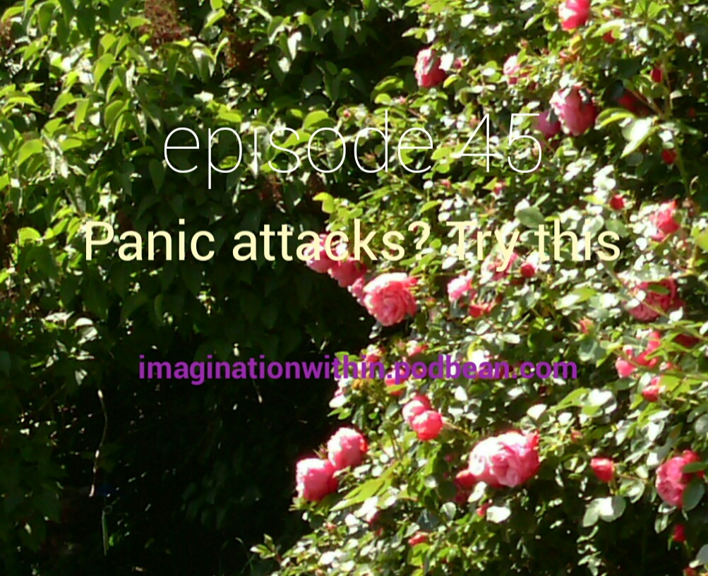 Episode 45 Panic attacks? Try this