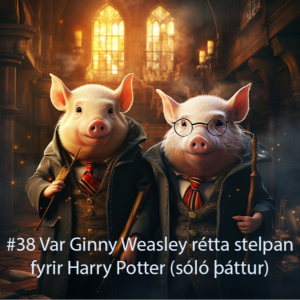 #38 Var Ginny Weasley rétta stelpan fyrir Harry Potter (sóló þáttur)