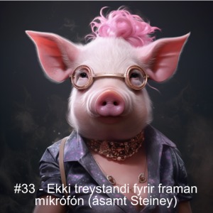 #33 - Ekki treystandi fyrir framan míkrófón (ásamt Steiney)