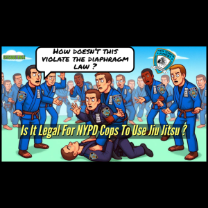 Is It Legal For NYPD Cops To Use Jiu Jitsu ?