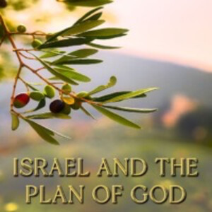 11/14/2021 Israel and the Plan of God