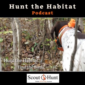 #27 How to Use Scout‑N‑Hunt Like a Grouse Hunting Guide. Plan Like a Pro. Scout Like a Forester.