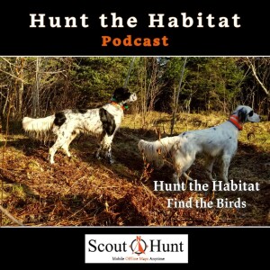 #19 Nail the Grouse Hunt: Target High-Density Bird Areas & Avoid Common Mistakes