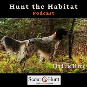 #16 Teaching Your Hunting Dogs to Follow Your Lead in the Field