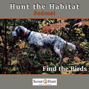 #6 - Conditioning your dog, puppy training tips & early morning fall grouse hunts