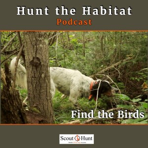 #4 Minnesota Habitat to Hunt Grouse & early development puppy training