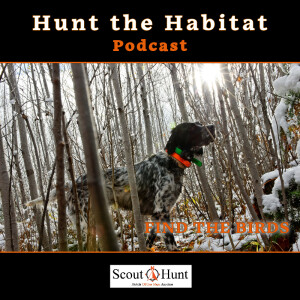 #11 How to make valuable Hunting Season Reflections & Dogs in cold weather