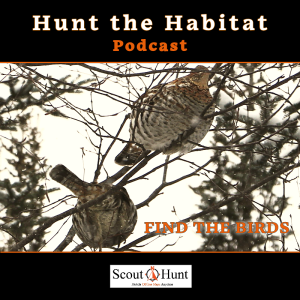 #10 How to track Grouse & Hunt their flush in Late Season Hunting