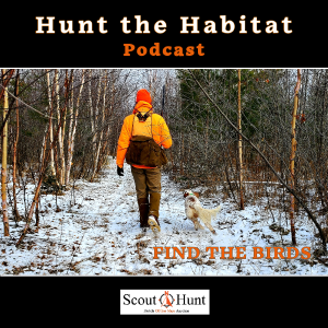 #9 - Change your Grouse Hunting Strategies for late season hunting