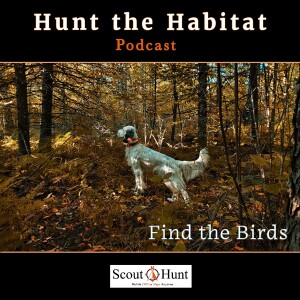 #8 Grouse Hunting Strategies in Early Season for the Woods