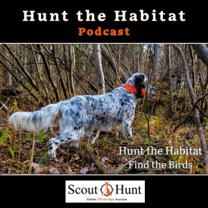 #21 Top Tips for Grouse Hunting in Dry Conditions + Dog Care Recovery