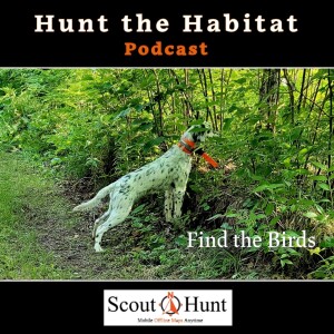 #17 Fine-tuning Your Dog's Nose for Bird Hunting Success & Fireworks