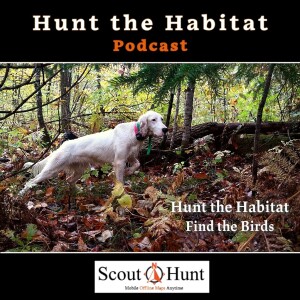 #18 Early-Season Grouse Strategies: Reading the Forest & Your Dog