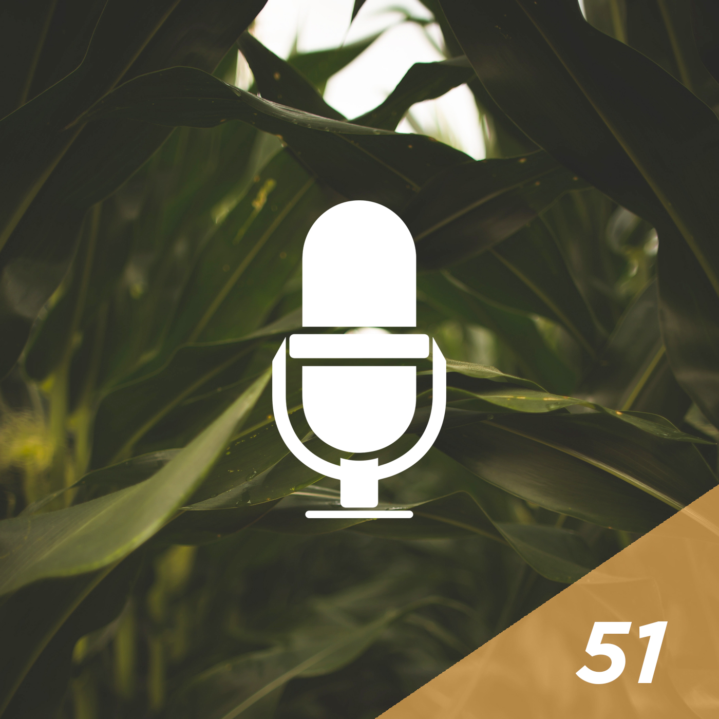 #51 - MPG Index: The Future of Corn Hybrid Selection