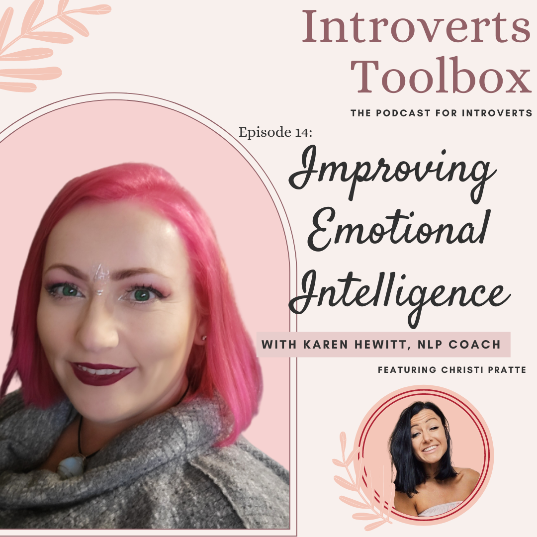 Introverts Tool Box