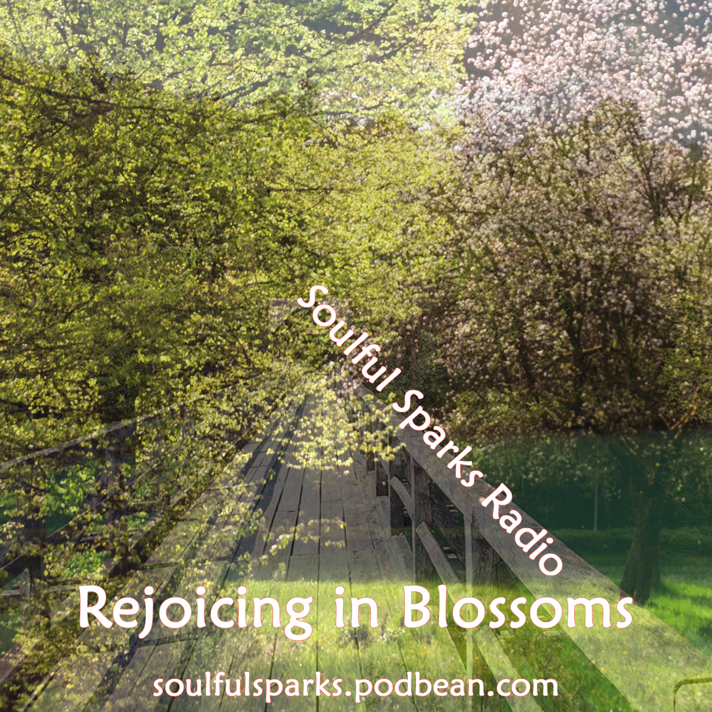 Rejoicing in Blossoms