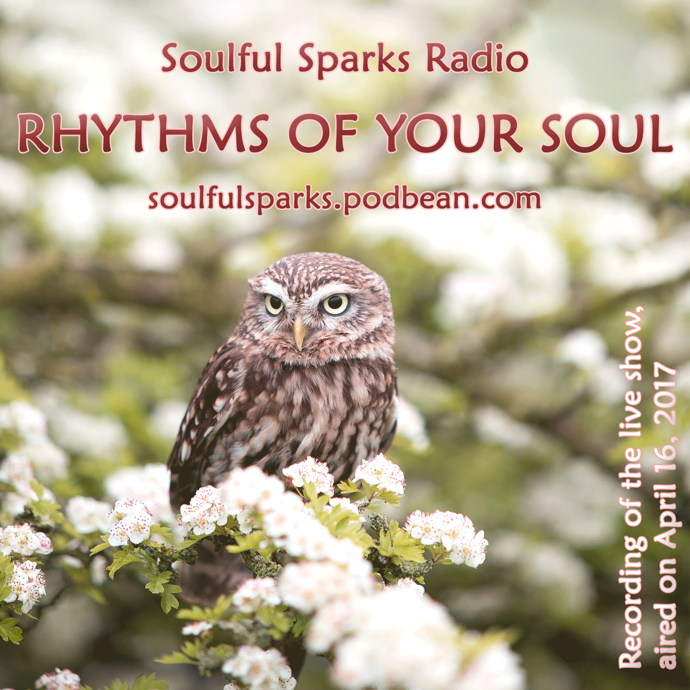 Find the Rhythms of Your Soul
