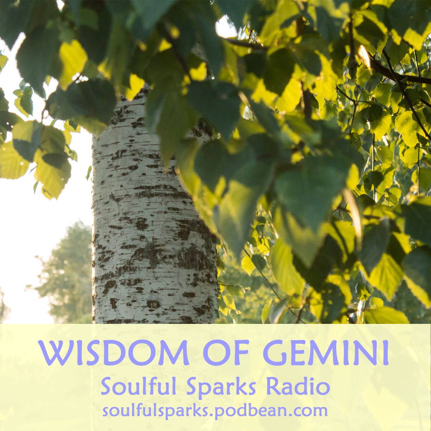 Wisdom of Gemini