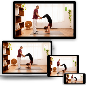 The Complete Guide to Online Yoga Certifications