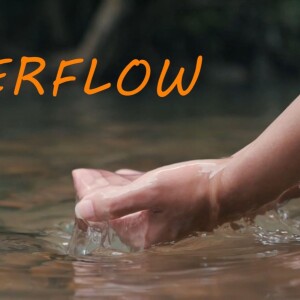 Over Flow with Pastor Curtis - One Faith (2023-8-17)