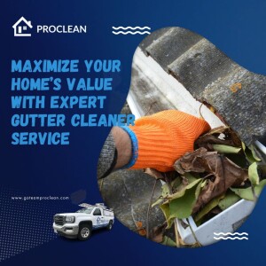 Maximize Your Home’s Value with Expert Gutter Cleaner Service