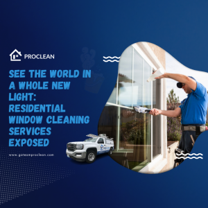 See the World in a Whole New Light: Residential Window Cleaning Services Exposed